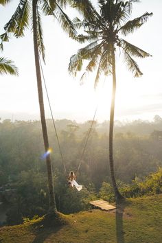 a woman is swinging on a rope between two palm trees in the sunlit jungle