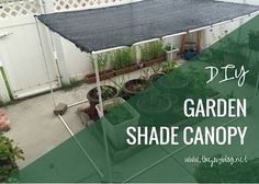 a garden shade canopy in the middle of a backyard