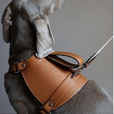 a dog is sitting on top of a purse