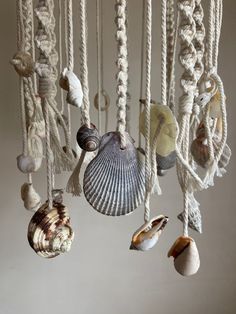 several seashells hanging from ropes in a room