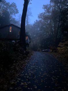 a dark road with leaves on the ground and houses in the background at night time