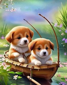 two puppies are sitting in a boat on the water