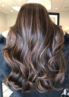 Hilights For Brunettes, Hair Color Brown Chestnut, Hair Colors To Try, Chestnut Brown Hair, Chestnut Hair Color, Fall Hair Color Trends, Brunette Balayage Hair, Brunette Color