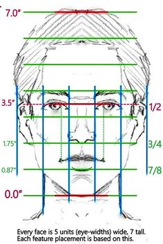 a drawing of a man's face with the measurements for each facial area in front of him