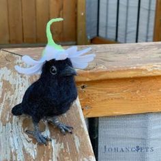 a black bird with a green and white hat on it's head sitting on a wooden bench