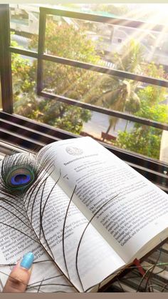 an open book with a peacock feather resting on it's cover next to a window