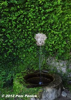 a small fountain in the middle of a garden