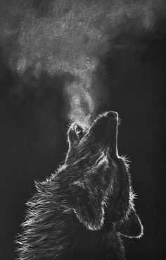 Easy Drawing Ideas Step By Step Animals Inspiration, Lup Singuratic, Black Paper Drawing, Charcoal Drawings, Wolf Wallpaper, White Drawing, Charcoal Art, Wolf Tattoos