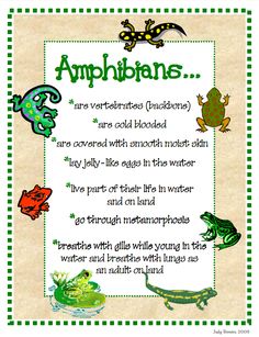 an amphibians poem with frogs and lizards