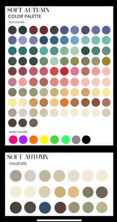 the color palette for soft autumn