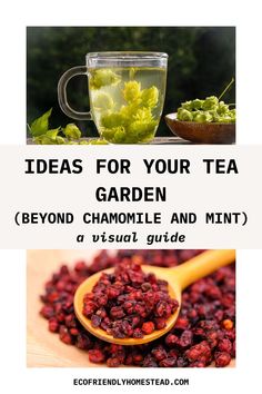 layout ideas for herbal tea garden Tea Garden Layout, Tea Garden Plants, Tea Garden Ideas, Apartment Homesteading, Garden Layout Design, Herbs For Tea, Herb Medicine, Medicine Garden, Garden Planning Layout