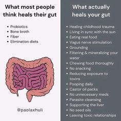 Lifestyle Medicine, Cellular Health, Gut Health Diet, دورة شهرية, Brain Facts, Feminine Health, My Gift, Hormone Health, Health Knowledge