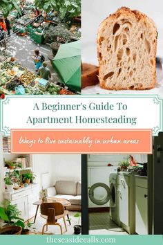 a beginner's guide to apartment homesteading ways to live naturally in urban areas