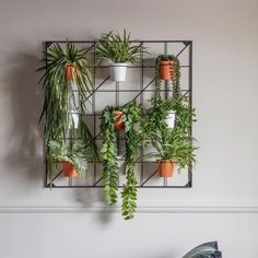 there are many plants on the wall and one is hanging from the metal rack with two potted plants in it