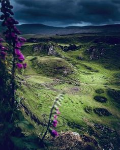 purple flowers are in the foreground and green grass on the far side, with dark clouds overhead