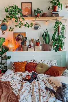 an unmade bed with plants and other items on the headboard, in front of a window