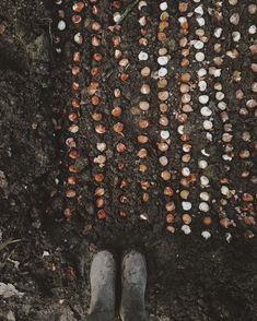 a person standing in the dirt with their feet up and shells on the ground next to them