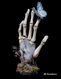 a skeleton hand holding a blue butterfly on top of it's head and fingers