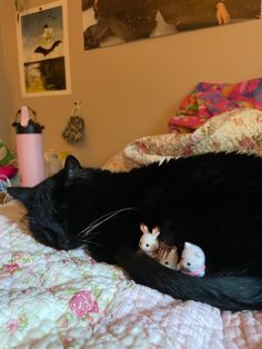 a large black cat laying on top of a bed next to a stuffed toy mouse