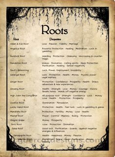 Roots Book, Magickal Herbs, Magic Herbs, Wiccan Spell Book, Magical Herbs