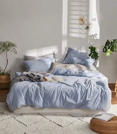 a bed sitting on top of a wooden floor next to a plant in a room