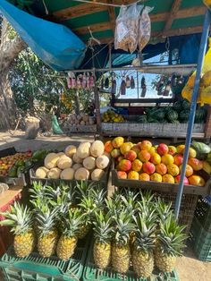 many different types of fruit are on display at a market stall, including pineapples, melons and oranges