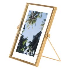 a gold metal frame holds a photograph of palm trees and blue sky in the background