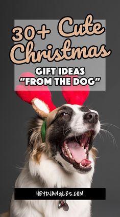 a dog with antlers on his head and the words 30 cute christmas gift ideas from the dog