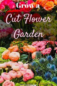 an image of colorful flowers with the words cut flower garden on it's side