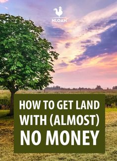 a tree with the words how to get land with almost no money in front of it