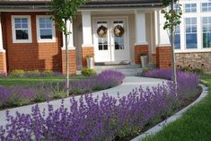 a house with purple flowers in the front yard