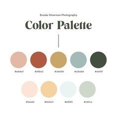 the color palette is shown with different colors