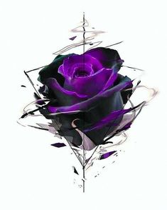 a black and purple rose is shown in this artistic photo, with the petals splayed