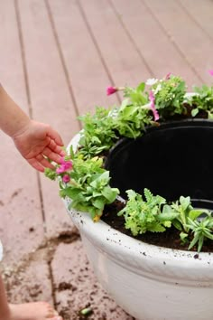 a child is reaching into a potted planter with flowers growing out of it