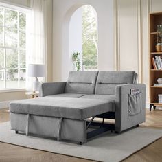 a living room scene with focus on the sofa and pull out bed