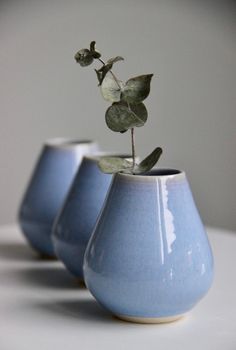 three small blue vases with one plant in it's center and the other on its side