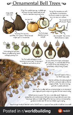 an image of different types of trees