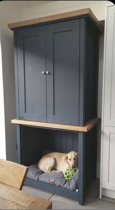 a dog laying on top of a bed under a cabinet