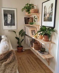 a living room with plants and pictures on the wall