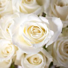 a bouquet of white roses is shown close up