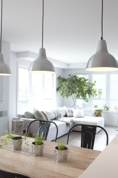 a living room filled with furniture and plants