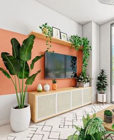 a living room filled with lots of plants next to a flat screen tv mounted on a wall