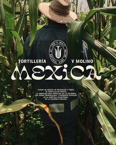 the back of a man wearing a hat in a corn field