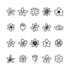 the different types of flowers that are drawn in black ink on a white paper background