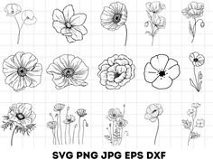 various types of flowers in black and white, with the text svg png eps dxf