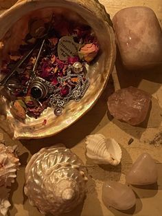 beauty, rose quartz, jewellery, silver, siren, silver rings, rose petals, rose bud, shells, necklace, earrings, candle light, candelight, candle magick, glamour, glamour magick Ocean Witch, Altar Witchcraft, Goddess Aphrodite, Witchcraft Altar, Shell Jewellery, Gothic Jewellery, Jewelry Gothic