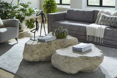 a living room with two large rocks on the floor and a couch in the background