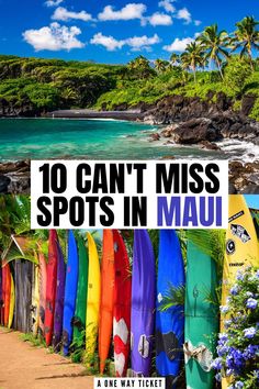 colorful surfboards are lined up in front of the ocean with text overlay that reads 10 can't miss spots in mau