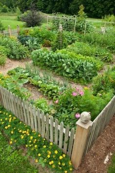 a garden with many different types of plants and flowers in the center, along with a wooden fence