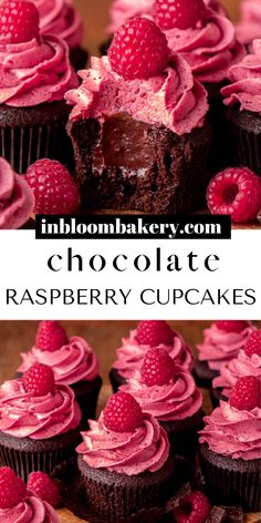 raspberry cupcakes with chocolate frosting and fresh raspberries on top